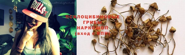 гидра Приозерск